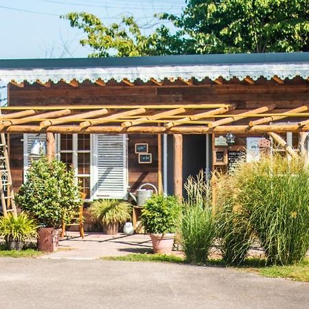 Cab'Ane Appartement Guémar Buitenkant foto